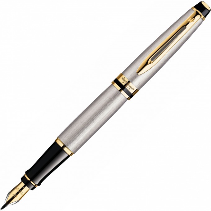 Перьевая ручка WATERMAN EXPERT 3 STAINLESS STEEL GT, F CWS0951940