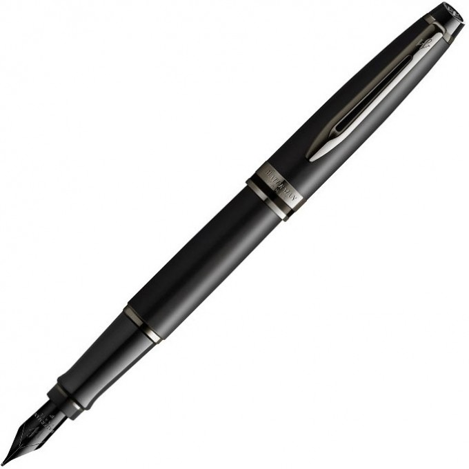Перьевая ручка WATERMAN EXPERT DELUXE METALLIC BLACK RT F, сталь 2119188