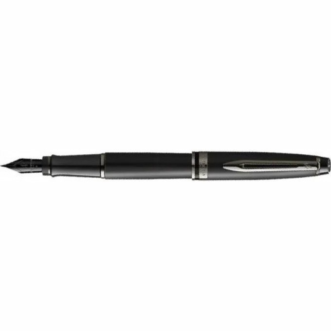 Перьевая ручка WATERMAN EXPERT DELUXE METALLIC BLACK RT F, сталь CW2119188