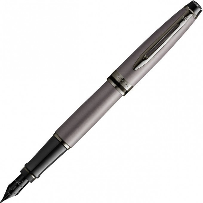 Перьевая ручка WATERMAN EXPERT DELUXE METALLIC SILVER RT с пером F, сталь 2119253